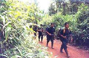 Balance de combates de las FARC